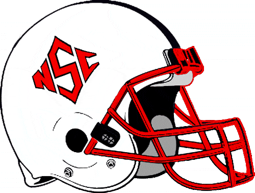 North Carolina State Wolfpack 1986-1998 Helmet Logo iron on transfers for clothing